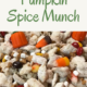 Pumpkin Spice Munch