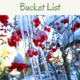 My December Bucket List