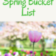 My Spring Bucket List