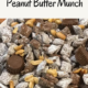 Extreme Chocolate Peanut Butter Munch