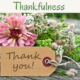 3 Steps to Thankfulness