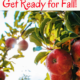 5 Easy Ways to Get Ready for Fall