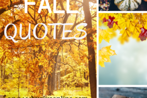 10 Inspirational Fall Quotes
