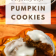 Perfectly Soft Pumpkin Cookies